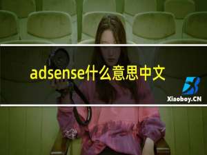 adsense什么意思中文