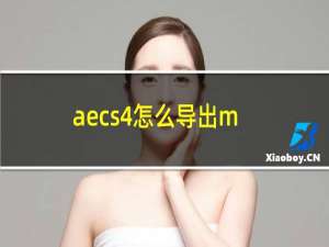 aecs4怎么导出mp4格式视频（ae cs4）