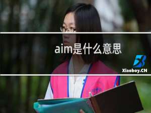 aim是什么意思