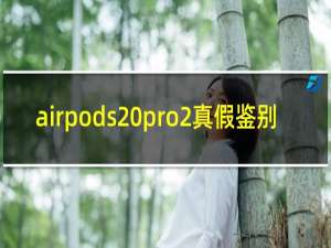 airpods pro2真假鉴别