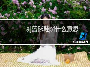 aj篮球鞋pf什么意思