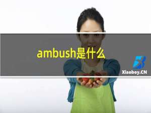 ambush是什么（ambush是什么牌子）