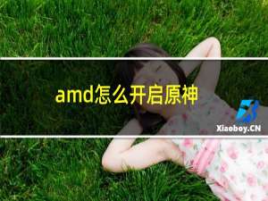 amd怎么开启原神