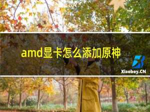 amd显卡怎么添加原神