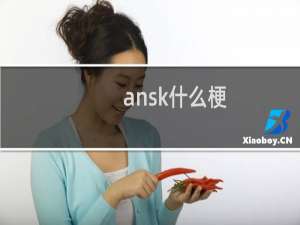 ansk什么梗