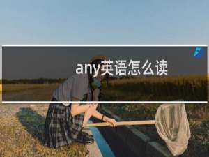 any英语怎么读