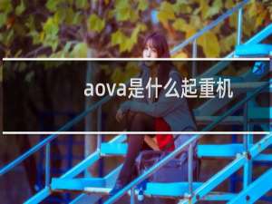 aova是什么起重机
