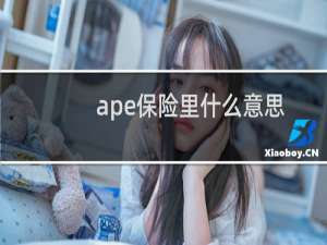ape保险里什么意思
