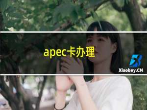 apec卡办理