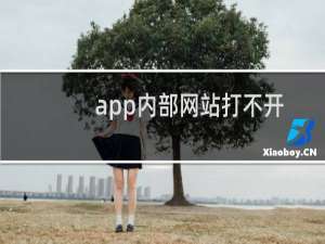 app内部网站打不开-虚拟主机/数据库问题