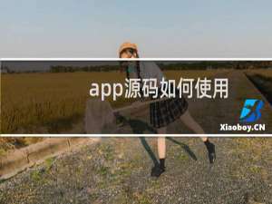 app源码如何使用