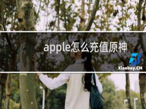 apple怎么充值原神
