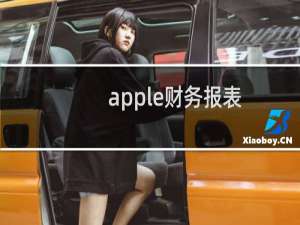 apple财务报表