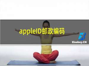 appleID邮政编码怎么写