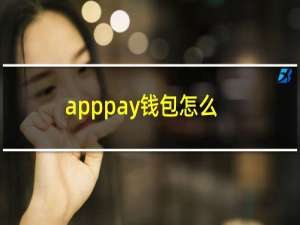 apppay钱包怎么使用（apppatch）