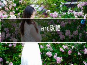 arc攻略