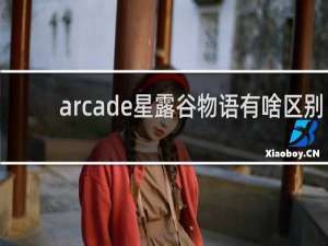 arcade星露谷物语有啥区别