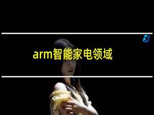 arm智能家电领域