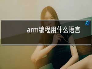 arm编程用什么语言