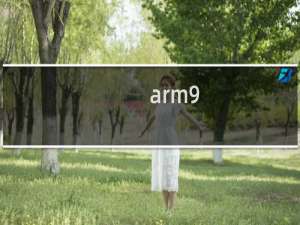 arm9