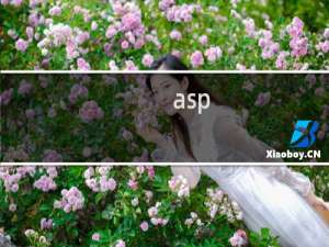 asp.net页面昨天好了一下，今天打开又出现错误