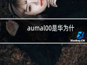 aumal00是华为什么型号手机