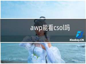 awp能看csol吗