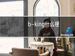 b—king什么梗