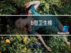 b型卫生棉