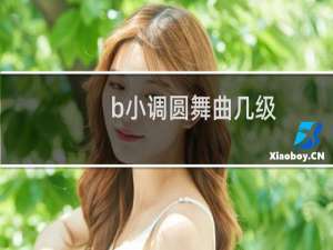 b小调圆舞曲几级