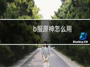 b服原神怎么用