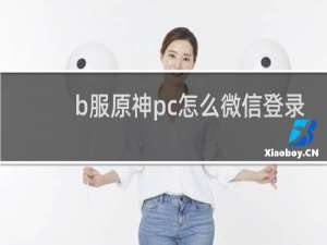 b服原神pc怎么微信登录