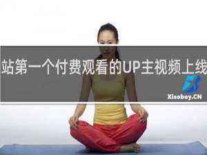 b站第一个付费观看的UP主视频上线什么梗