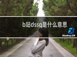 b站dssq是什么意思 不仅仅是表示大势所趋什么梗