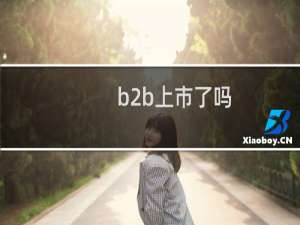 b2b上市了吗