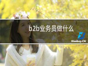b2b业务员做什么