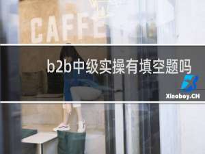 b2b中级实操有填空题吗