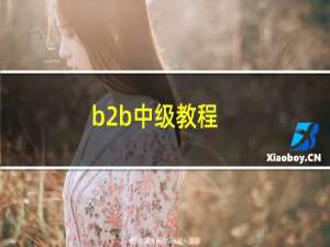 b2b中级教程