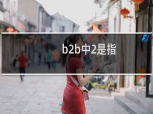 b2b中2是指