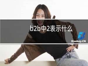 b2b中2表示什么