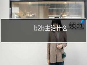 b2b主治什么