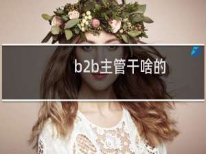 b2b主管干啥的