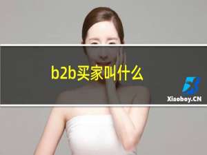 b2b买家叫什么