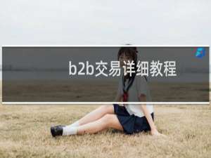 b2b交易详细教程