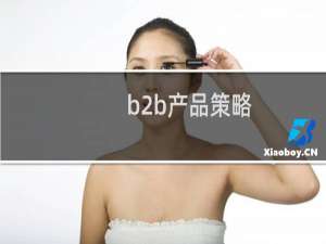 b2b产品策略