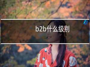 b2b什么级别