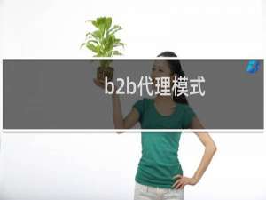 b2b代理模式
