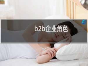b2b企业角色