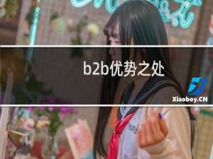 b2b优势之处