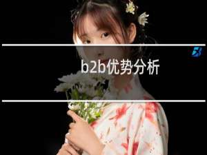 b2b优势分析